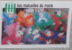 Petit Calendrier Poche 1997 Assurances Les Mutuelles Du Mans Le Mans Sarthe - Carnaval Masque - Kleinformat : 1991-00