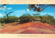 MAURICE - Mauritius - Terre Des Sept Couleurs - Seven Coloured Earth - Carte Postale - Maurice