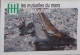 Petit Calendrier Poche 1998 Assurances Les Mutuelles Du Mans Le Mans Sarthe - Bateau - Small : 1991-00