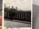 Photo Snapshot 1946 Pau Femme Sur Une Terrasse, Grande Terrasse, Habillée En Noir, Arbre Derrière Elle - Personnes Anonymes