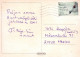 DOG Animals Vintage Postcard CPSM #PAN772.A - Chiens