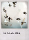 PÁJARO Animales Vintage Tarjeta Postal CPSM #PBR385.A - Oiseaux