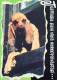 DOG Animals Vintage Postcard CPSM #PBQ393.A - Chiens