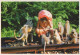 SCIMMIA Animale Vintage Cartolina CPSM #PBR961.A - Monkeys