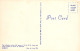 CROCODILE Vintage Postcard CPSMPF #PKG979.A - Autres & Non Classés