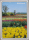 HOLLAND NETHERLANDS LAND OF FLOWERS BLOEMENLAND POSTCARD CARTOLINA ANSICHTSKARTE CARTE POSTALE POSTKARTE CARD - Andere & Zonder Classificatie