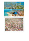 Lot 2 Cpm - Brésil - RIO - Carnaval - - Salvador De Bahia