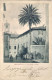 1902-"Grosseto Via Della Palma-animata" - Grosseto