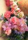 FLOWERS Vintage Postcard CPSM #PBZ099.GB - Flowers