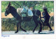 HORSE Animals Vintage Postcard CPSM #PBR899.GB - Caballos