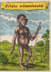 MONKEY Animals Vintage Postcard CPSM #PBR977.GB - Affen