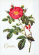 FLOWERS Vintage Postcard CPSM #PAS292.GB - Flowers