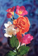 FLOWERS Vintage Postcard CPSM #PAS232.GB - Flowers
