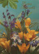 FLOWERS Vintage Postcard CPSM #PAR089.GB - Flores