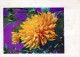 FLOWERS Vintage Postcard CPSM #PAR691.GB - Flores