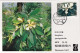 1986-Cina China MC5, Rare Magnolia Liliflora Maximum Cards (the Rarest Set Of Ch - Briefe U. Dokumente