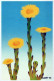 FLORES Vintage Tarjeta Postal CPSM #PBZ700.ES - Flores