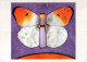 MARIPOSAS Animales Vintage Tarjeta Postal CPSM #PBS428.ES - Mariposas