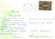 FLORES Vintage Tarjeta Postal CPSM #PAR030.ES - Fiori