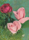 FLOWERS Vintage Ansichtskarte Postkarte CPSM #PBZ342.DE - Blumen