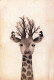 GIRAFFE Tier Vintage Ansichtskarte Postkarte CPSM #PBS958.DE - Giraffe