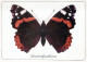 SCHMETTERLINGE Tier Vintage Ansichtskarte Postkarte CPSM #PBS430.DE - Mariposas