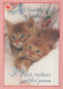 KATZE MIEZEKATZE Tier Vintage Ansichtskarte Postkarte CPSM #PBQ920.DE - Gatos