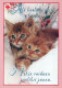 KATZE MIEZEKATZE Tier Vintage Ansichtskarte Postkarte CPSM #PBQ920.DE - Gatos