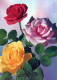 FLOWERS Vintage Ansichtskarte Postkarte CPSM #PAR994.DE - Blumen