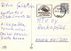 HUND Tier Vintage Ansichtskarte Postkarte CPSM #PAN508.DE - Perros