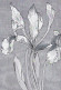 FIORI Vintage Cartolina CPSM #PBZ703.IT - Flowers