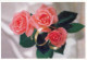 FIORI Vintage Cartolina CPSM #PBZ283.IT - Flowers