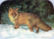 FOX Animale Vintage Cartolina CPSM #PBS818.IT - Autres & Non Classés