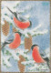 UCCELLO Animale Vintage Cartolina CPSM #PBR512.IT - Birds