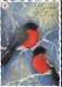 UCCELLO Animale Vintage Cartolina CPSM #PBR574.IT - Vogels