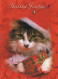 GATTO KITTY Animale Vintage Cartolina CPSM #PBQ859.IT - Chats