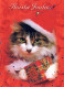 GATTO KITTY Animale Vintage Cartolina CPSM #PBQ859.IT - Gatos