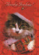 GATTO KITTY Animale Vintage Cartolina CPSM #PBQ799.IT - Gatos