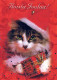 GATTO KITTY Animale Vintage Cartolina CPSM #PBQ799.IT - Gatos