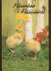PASQUA POLLO UOVO Vintage Cartolina CPSM #PBO690.IT - Ostern