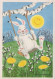 PASQUA CONIGLIO Vintage Cartolina CPSM #PBO438.IT - Ostern