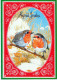 Buon Anno Natale UCCELLO Vintage Cartolina CPSM #PBM810.IT - New Year