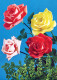 FIORI Vintage Cartolina CPSM #PAS536.IT - Fiori