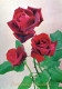 FIORI Vintage Cartolina CPSM #PAR935.IT - Flowers
