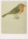 UCCELLO Animale Vintage Cartolina CPSM #PAN198.IT - Birds