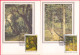 1986-Russia Serie 5 Valori Pittori Su 5 Cartoline Maximum - Other & Unclassified