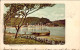 1902-mista Valori Gemelli 2c.Umberto + 2c.Floreale "Noli-Panorama" - Poststempel