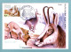 Carte Maximum Monaco 1986 - Animaux Du Parc National Du Mercantour - Chamois -  YT 1524 - Cartes-Maximum (CM)