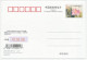 Postal Stationery China 2006 Acupuncture - Foot - Sonstige & Ohne Zuordnung