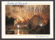 100912/ PONT-EN-ROYANS, Grottes De Choranche - Pont-en-Royans